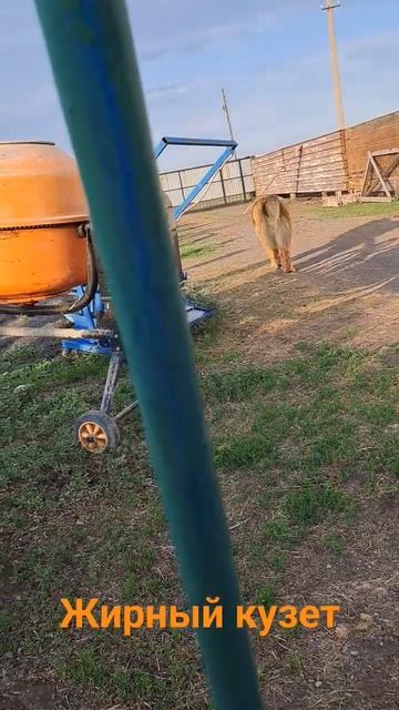 Верный на службе смотреть онлайн