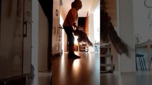 влог с хоббихорсом (и тренировка)