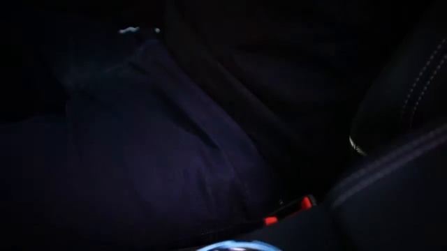Fabian Coulthard (V8 Supercar driver) - Seatbelts смотреть онлайн