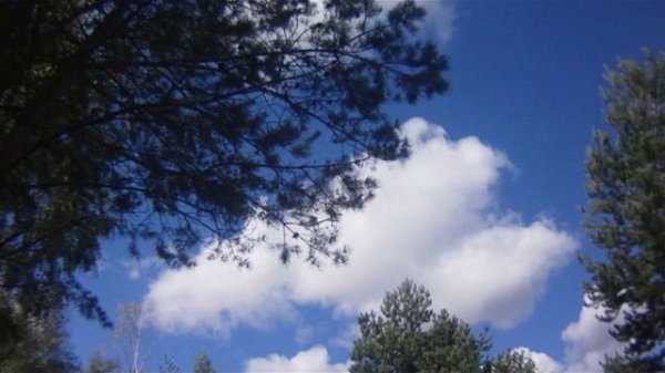 Парашютисты