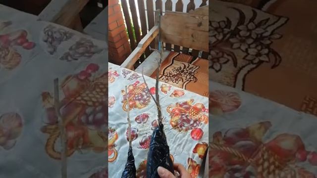 Отзыв клиента Агромаркет 24 смотреть онлайн