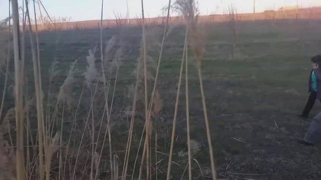 Карабулак 2.6 гектар Алма бақ (Сад) 2 смотреть онлайн