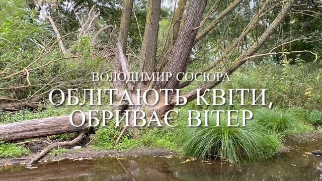 Володимир Сосюра «Облітають квіти, обриває вітер» смотреть онлайн