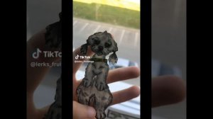 подборка бумажных собак из тт / sami_dog / бумажные собачки