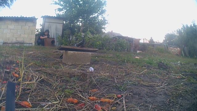 Самодельный гранатомет (Видео 4-е) смотреть онлайн