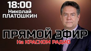 Николай Платошкин. Прямой эфир 10.02.25