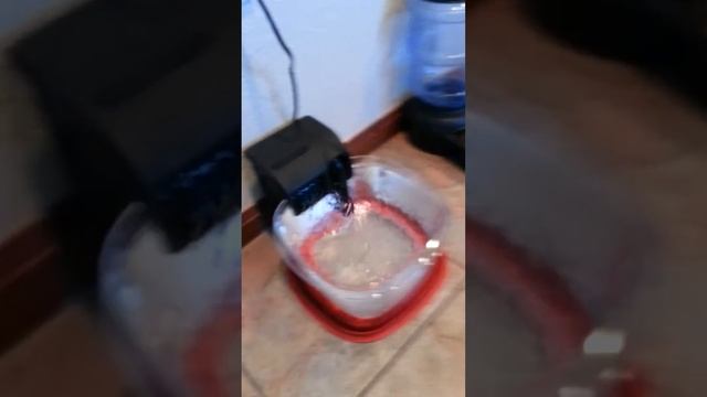 DIY Pet Fountain смотреть онлайн