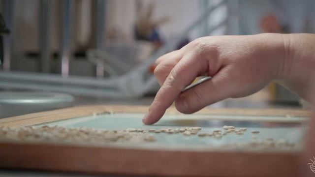 Горячая пора