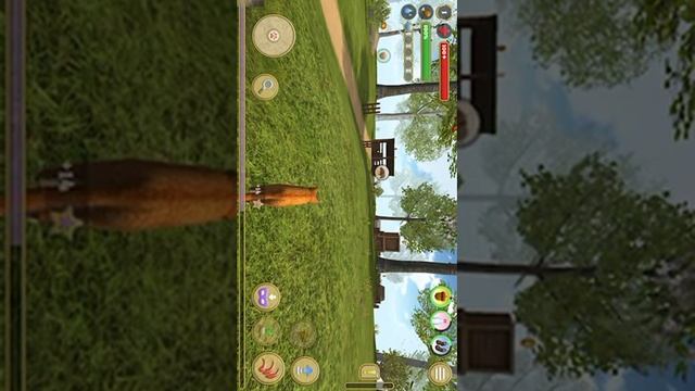 Симулятор кота и кошки #1 vikulya tv смотреть онлайн