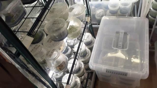 Занимаюсь фласками на их роль и не претендую проживаю свою жизнь и занимаюсь свои любимым делом смотреть онлайн