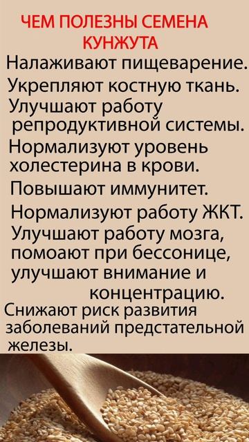 Польза семян кунжута. #shorts смотреть онлайн