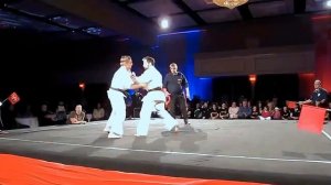 Нокауты Киокушинкай каратэ