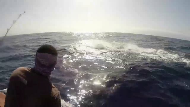 Blue Marlin - Cabo Verde 2014 смотреть онлайн