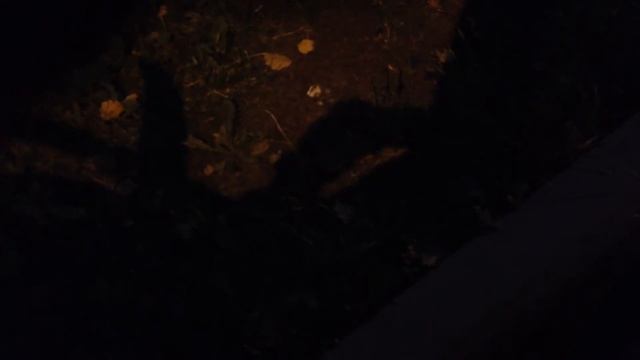 Чему пришёл конец? смотреть онлайн