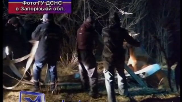 Спасли коня смотреть онлайн