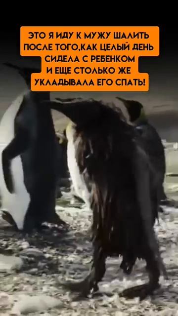 Время пошалить! смотреть онлайн