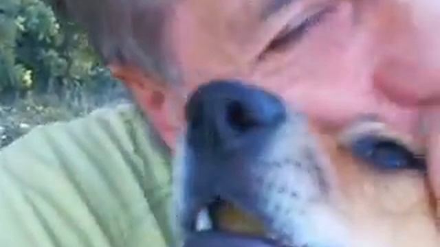 ,,Утренние ласки " смотреть онлайн