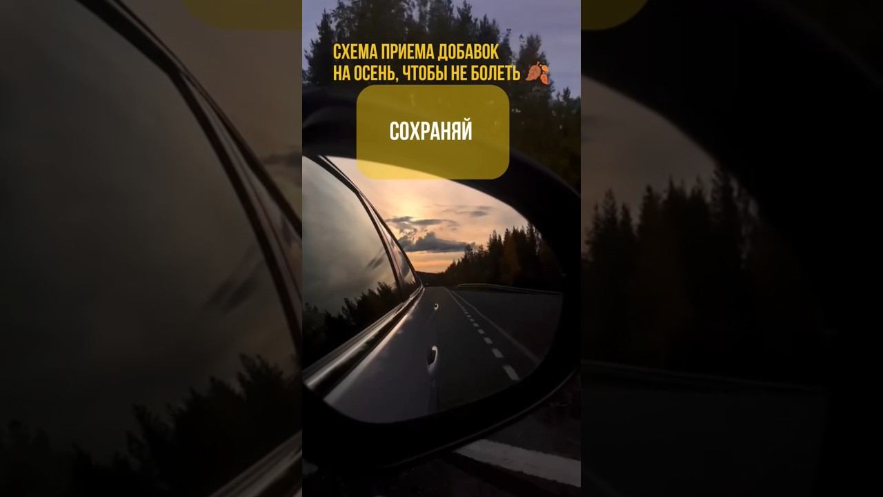 Программа чтобы не болеть