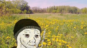 Гражданская Оборона - Поле одуванчиков