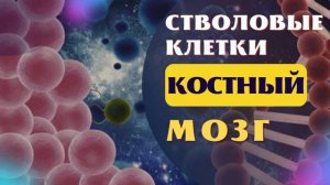 СТИМУЛЯЦИЯ ВЫРАБОТКИ СТВОЛОВЫХ КЛЕТОК*ИСЦЕЛЕНИЕ КОСТНОГО МОЗГА*ИСЦЕЛЕНИЕ ЗВУКОМ
