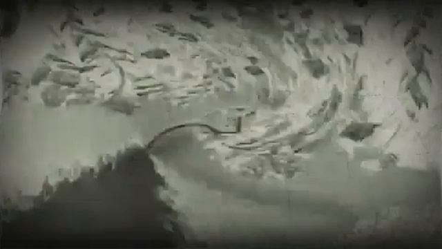 Masha Csupo effects In Haunt смотреть онлайн