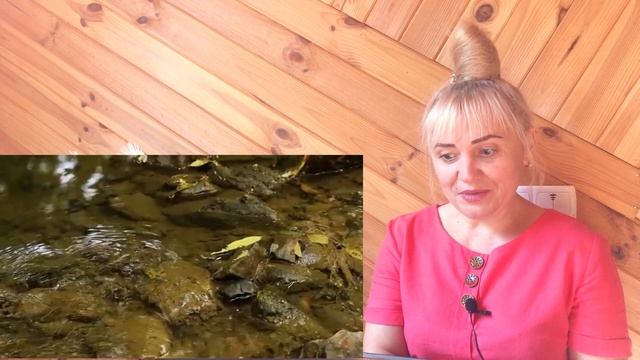 Диана Анкудинова - В небо. Реакция на Diana Ankudinova смотреть онлайн