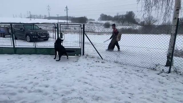 Charon z Větrného vrchu obrany 4 5 смотреть онлайн