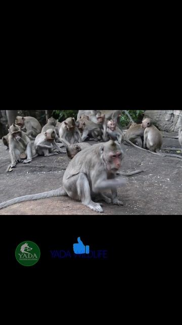 Watch this video if you are feeling stressed 4 смотреть онлайн