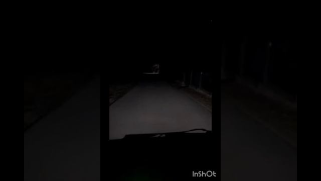 газель вGazelle NN