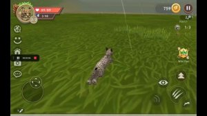 Легенда об огненной рыси | минифильм | 1/2 часть | WildCraft