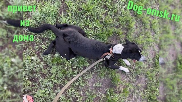 Привет от ЛОКИ смотреть онлайн