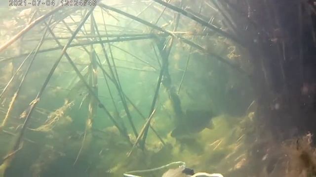 подводный егорлык смотреть онлайн
