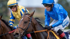 Топас или Евролос БИО - какой септик лучше