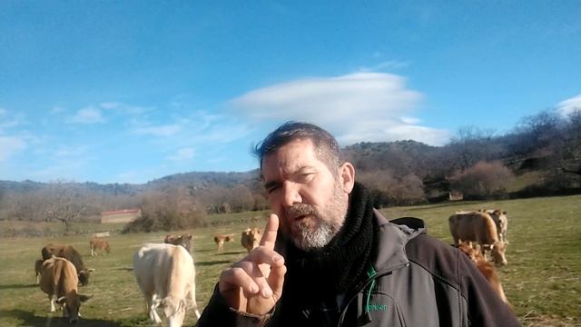 hoy estoy malino смотреть онлайн