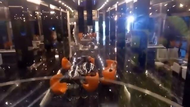 Bosphorus Sorgun Kharkov 2017 смотреть онлайн