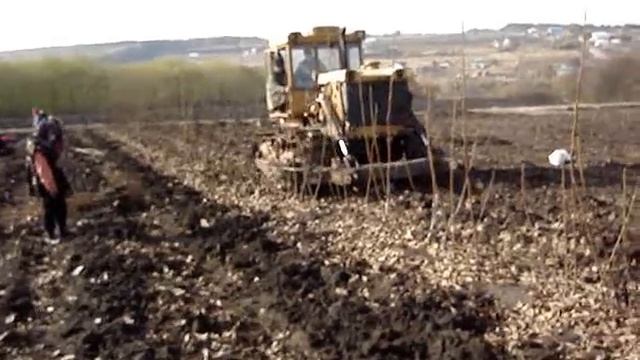 Выкопка саженцев ореха.Осень 2011 смотреть онлайн