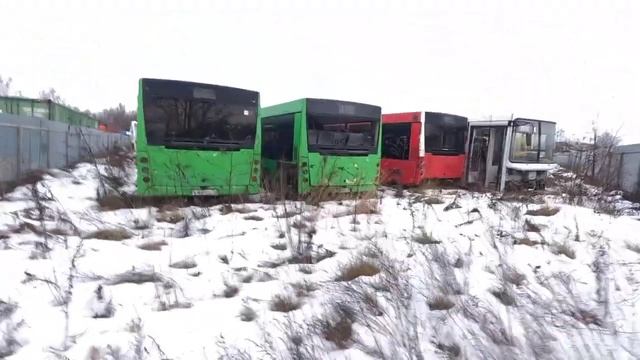 Где доживают свою жизнь Ярославские автобусы? Кладбище автобусной техники смотреть онлайн