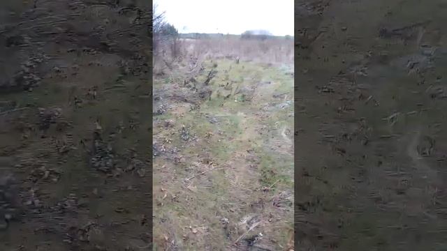 фильм охота на зайца смотреть онлайн