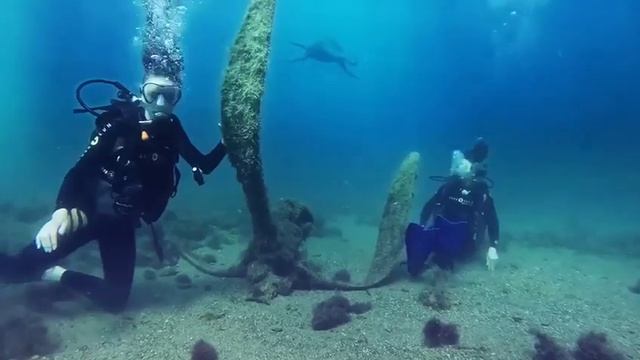 Плезиозавр в Анапе смотреть онлайн