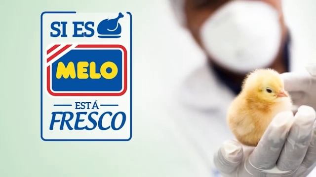 Cinco a las 5 - Martes 28 de mayo de 2024 смотреть онлайн