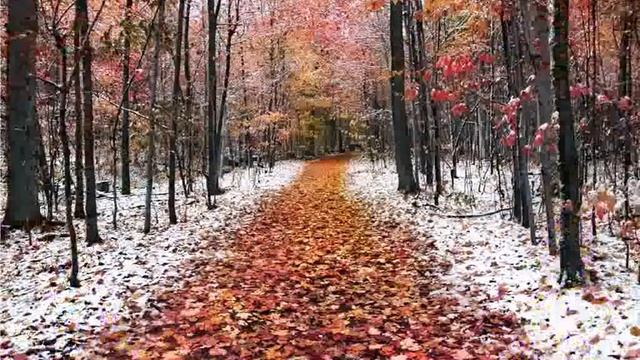 Карина Габриэлян _Это было как сказка_ смотреть онлайн