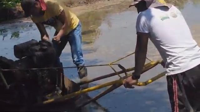 FFS- Production of High-Quality Inbred Rice and Seed, And Farm Mechanization. #TESDA CNSAT смотреть онлайн