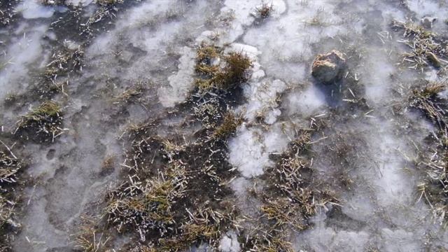 Februar-Improvisationen 2017 смотреть онлайн