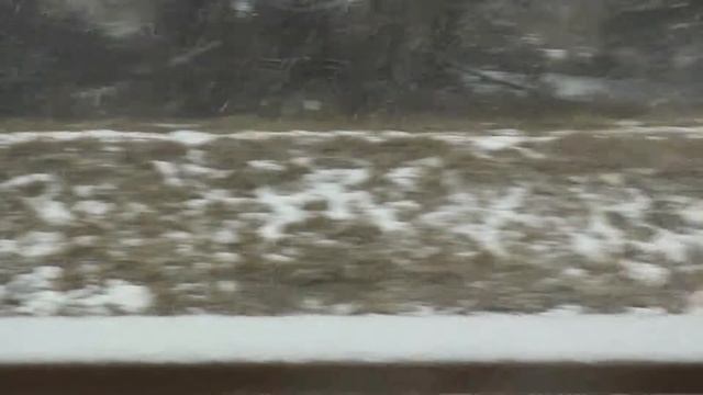 Гуси в городе смотреть онлайн