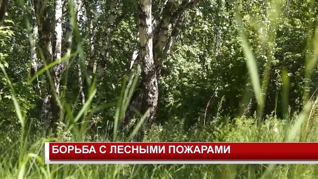 БОРЬБА С ЛЕСНЫМИ ПОЖАРАМИ смотреть онлайн