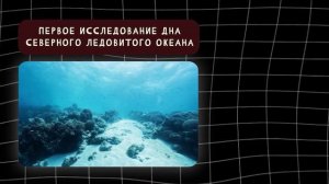 Видеоанонс темы от Евгения Егорова. Разговоры о важном.Арктика - территория развития