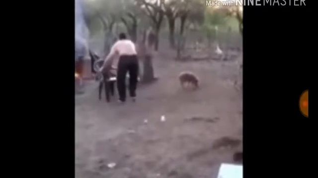 Гэндзи Борис и Дэнис ржут от души смотреть онлайн