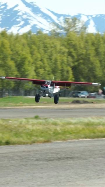 1954 PIPER PA-18-135 N27293 #landing #airstrip #2024 #alaska #aviation #aopa #bushplane #airport #a смотреть онлайн