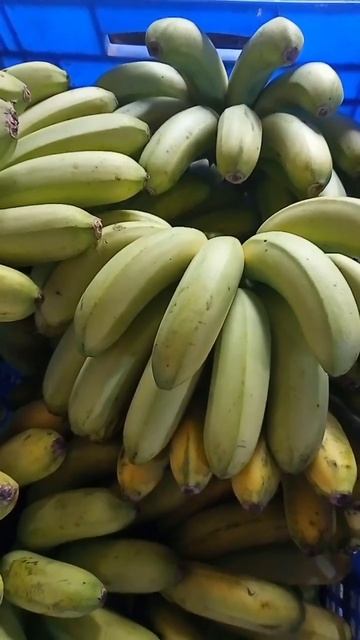 CHEMICAL CHANGE OF BANANA смотреть онлайн