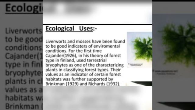 78 #NEET__Bryophyta (Ecological Importance)(याद करें) смотреть онлайн